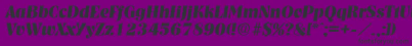 NashvilleBoldita Font – Black Fonts on Purple Background