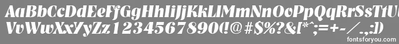 フォントNashvilleBoldita – 灰色の背景に白い文字