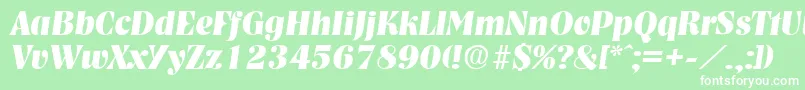 NashvilleBoldita Font – White Fonts on Green Background