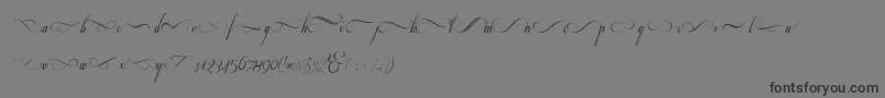 Respective2.0Swashes Font – Black Fonts on Gray Background