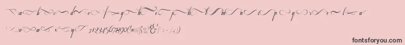 Respective2.0Swashes-Schriftart – Schwarze Schriften auf rosa Hintergrund