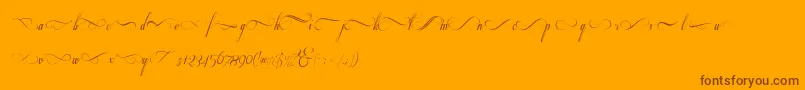 Respective2.0Swashes-fontti – ruskeat fontit oranssilla taustalla