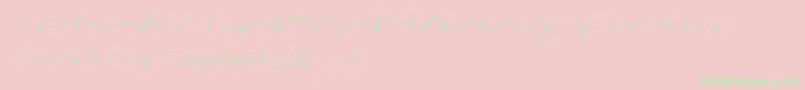 Respective2.0Swashes-fontti – vihreät fontit vaaleanpunaisella taustalla
