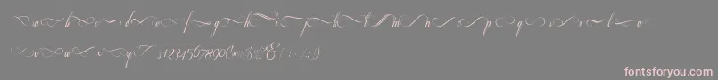 Respective2.0Swashes Font – Pink Fonts on Gray Background