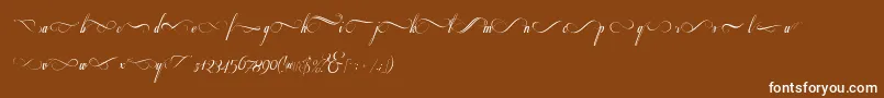 Respective2.0Swashes Font – White Fonts on Brown Background