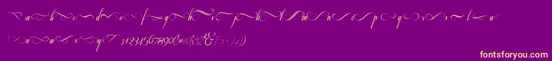 Respective2.0Swashes-Schriftart – Gelbe Schriften auf violettem Hintergrund