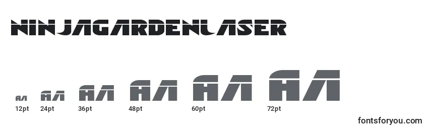 Ninjagardenlaser Font Sizes