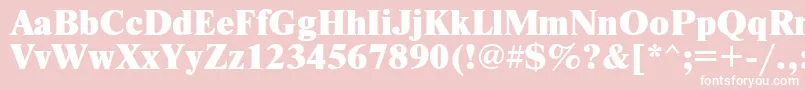 Nwtx Font – White Fonts on Pink Background