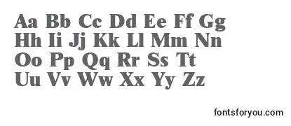 Review of the Nwtx Font
