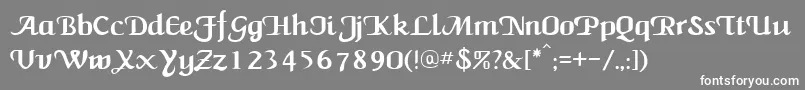 NewCalligraph-fontti – valkoiset fontit harmaalla taustalla