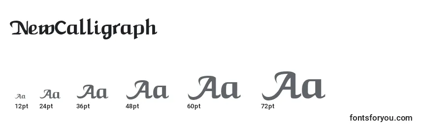 Размеры шрифта NewCalligraph