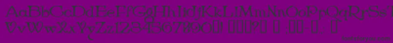 Niederwald Font – Black Fonts on Purple Background