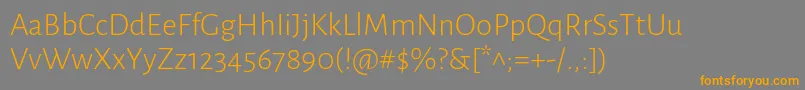 フォントAlegreyasansLight – オレンジの文字は灰色の背景にあります。