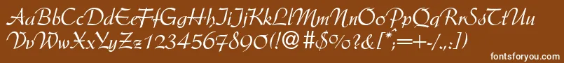 ArkansasdbNormal Font – White Fonts on Brown Background
