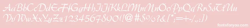 ArkansasdbNormal Font – White Fonts on Pink Background