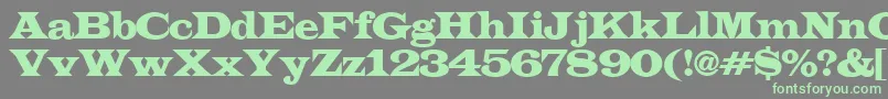 ALatinoexp Font – Green Fonts on Gray Background