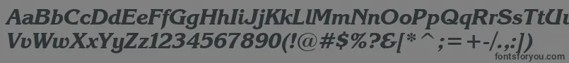 フォントKarinaBlackItalic – 黒い文字の灰色の背景