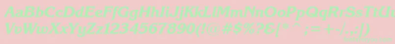 KarinaBlackItalic Font – Green Fonts on Pink Background
