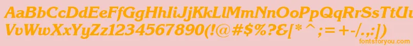 KarinaBlackItalic Font – Orange Fonts on Pink Background