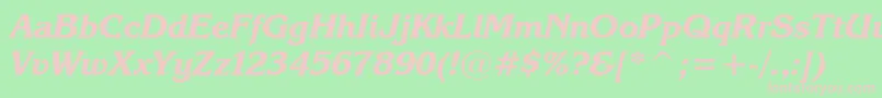 KarinaBlackItalic Font – Pink Fonts on Green Background