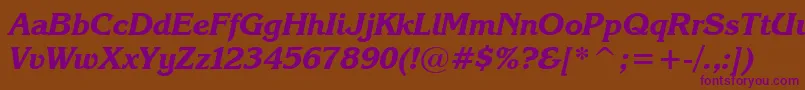 KarinaBlackItalic Font – Purple Fonts on Brown Background