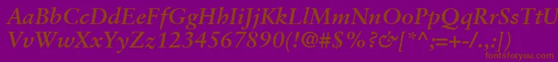 SabonLtBoldItalic Font – Brown Fonts on Purple Background