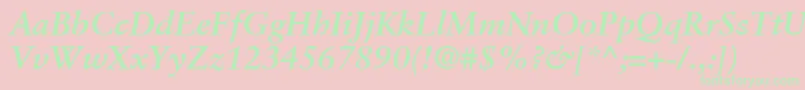 SabonLtBoldItalic Font – Green Fonts on Pink Background