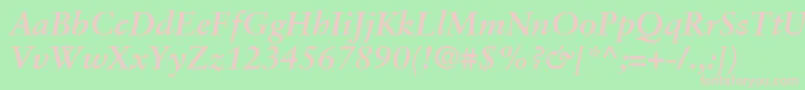 SabonLtBoldItalic Font – Pink Fonts on Green Background