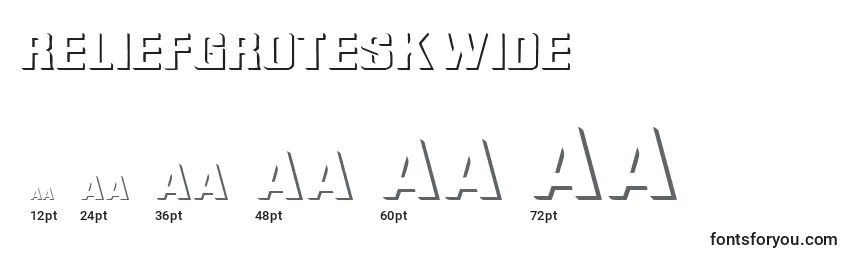 ReliefGroteskWide Font Sizes