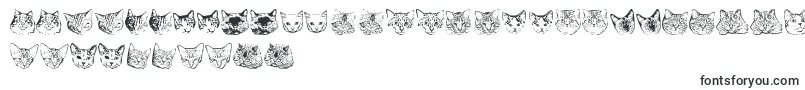 Czcionka KittyprintAoe – czcionki dla Adobe Photoshop