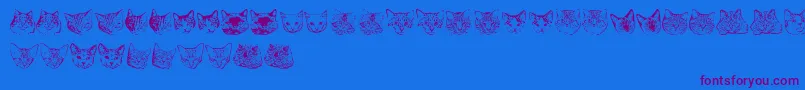 Police KittyprintAoe – polices violettes sur fond bleu