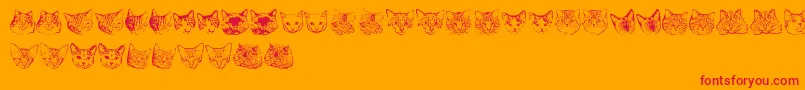 KittyprintAoe-Schriftart – Rote Schriften auf orangefarbenem Hintergrund