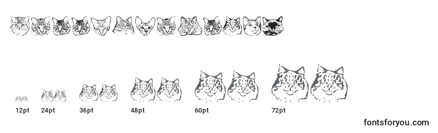 KittyprintAoe Font Sizes