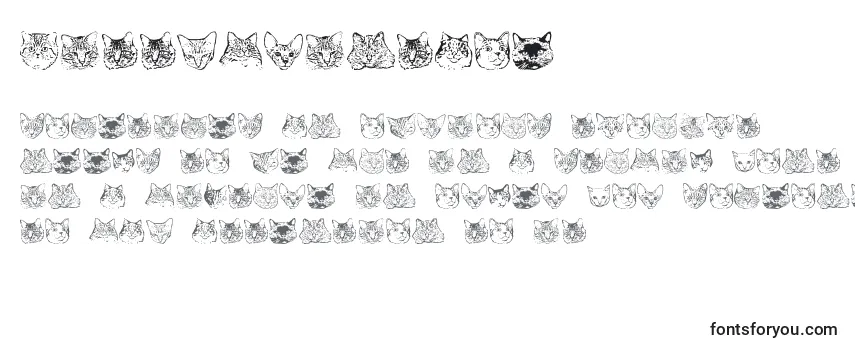 Review of the KittyprintAoe Font