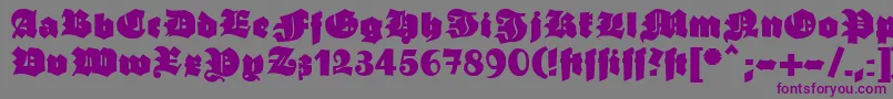 Ganzgrobegotisch Font – Purple Fonts on Gray Background