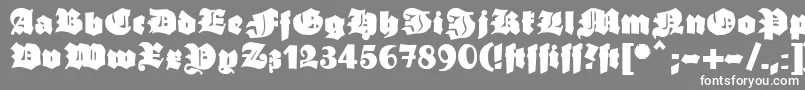 Ganzgrobegotisch Font – White Fonts on Gray Background