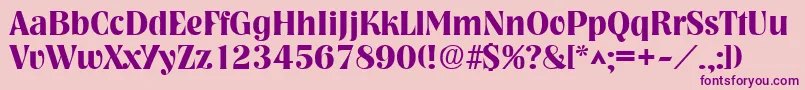 NashvilleBold Font – Purple Fonts on Pink Background