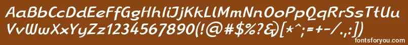 フォントLinotypeRanaMediumItalic – 茶色の背景に白い文字