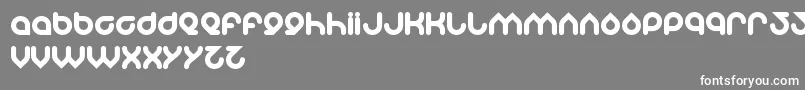 Znowwhite Font – White Fonts on Gray Background