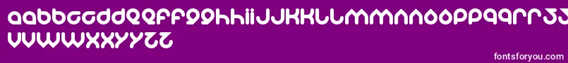 Znowwhite Font – White Fonts on Purple Background