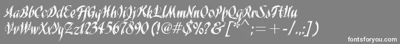 WisteriaItcTt Font – White Fonts on Gray Background