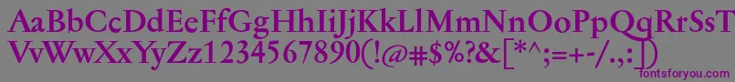 JannontextBold Font – Purple Fonts on Gray Background