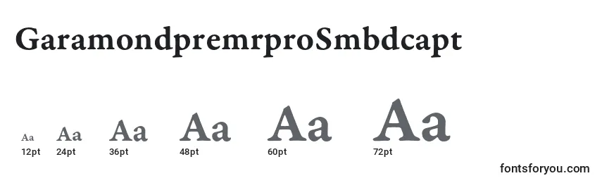GaramondpremrproSmbdcapt Font Sizes