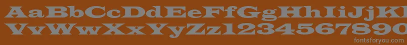 Latinwdn Font – Gray Fonts on Brown Background