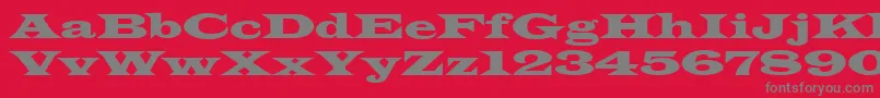 Latinwdn Font – Gray Fonts on Red Background
