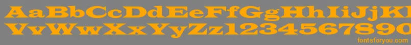 Latinwdn-Schriftart – Orangefarbene Schriften auf grauem Hintergrund