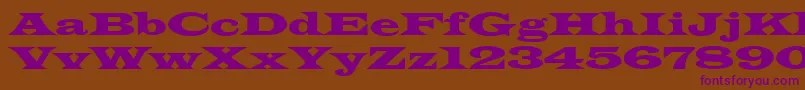 Latinwdn Font – Purple Fonts on Brown Background