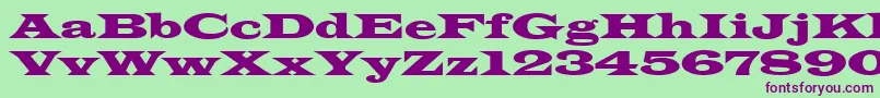 Latinwdn Font – Purple Fonts on Green Background