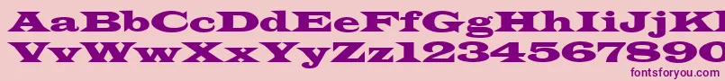 Latinwdn Font – Purple Fonts on Pink Background