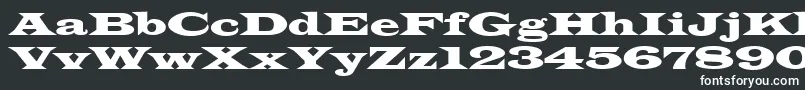 Czcionka Latinwdn – białe czcionki na czarnym tle